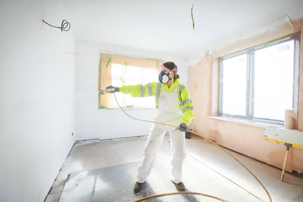 Professional Mold Removal in Warminster Heights, PA