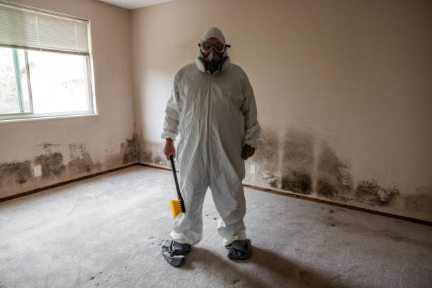 Best HVAC Mold Inspection and Cleaning  in Warminster Heights, PA